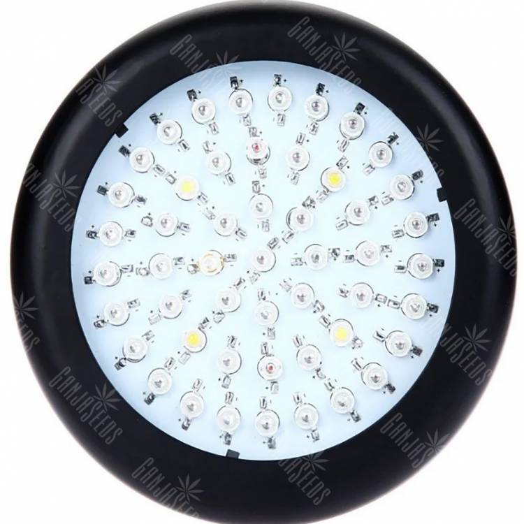 Светодиодный LED Green Round 50 Вт недорого