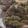 семена конопли курьером Bubba Kush 2.0 feminised Humboldt Seeds семена конопли курьером Bubba Kush 2.0 feminised Humboldt Seeds