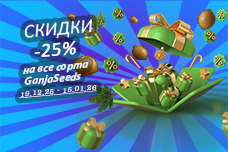 Новогодняя акция от GanjaSeeds — минус 25%!
